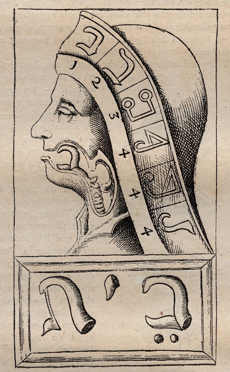 Illustrasjon fra: "The Alphabet of Nature" (The Alphabet of Nature) av Francis Mercurius van Helmont (1618–1699) (Francois Mercure Van Helmont hevdet at hver bokstav i det hebraiske alfabetet (som ble ansett for å være begynnelsen) av Unknown artist