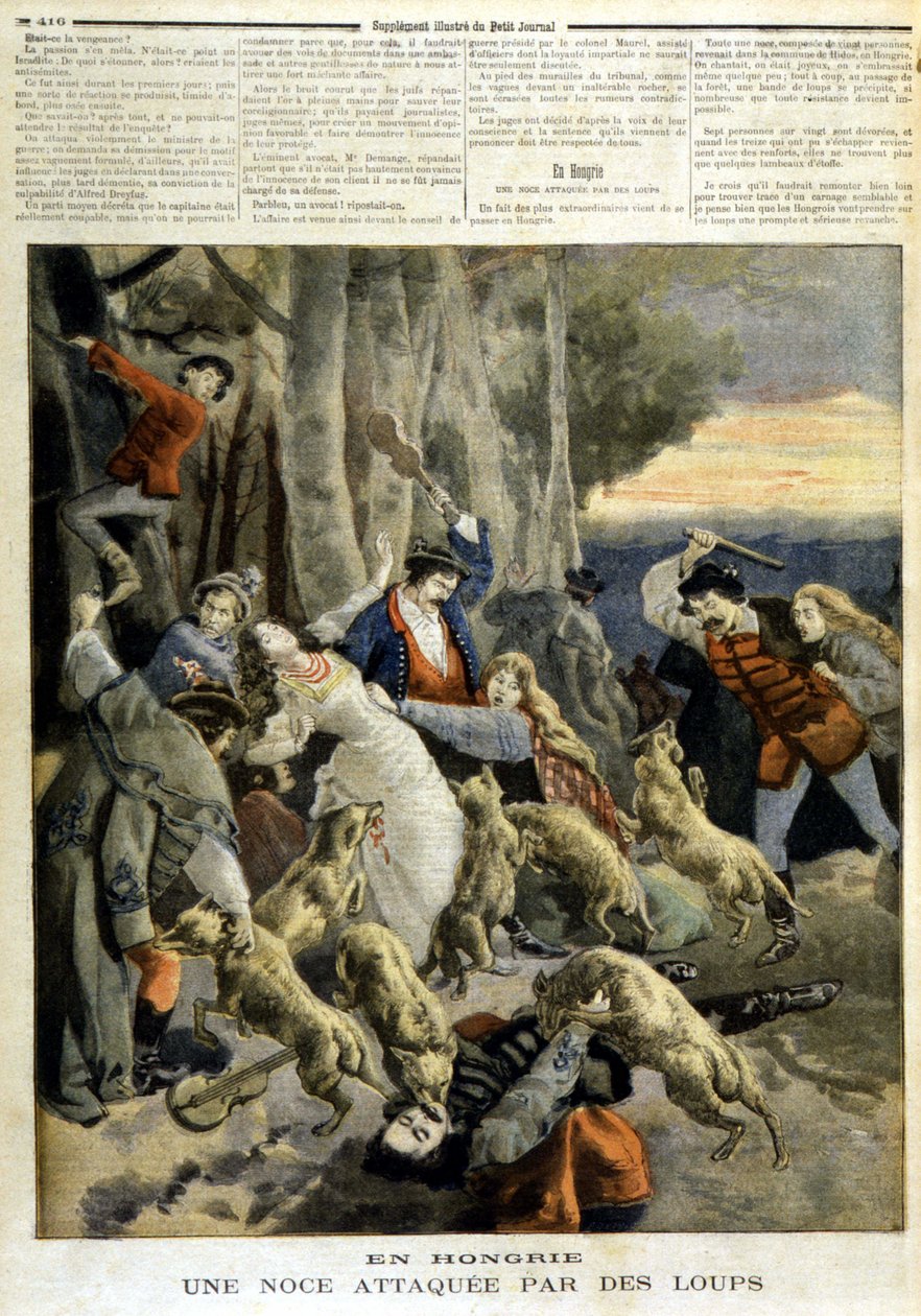 I Ungarn: et bryllup angrepet av ulver - i "" Le Petit Journal"" av 23.12.1894 av Unknown artist