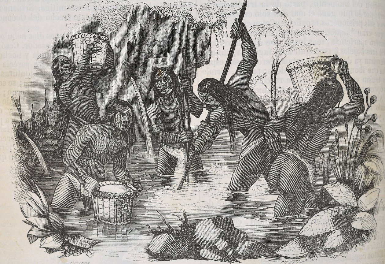 Indianere fra øya Hispaniola panorerer etter gull av Unknown artist