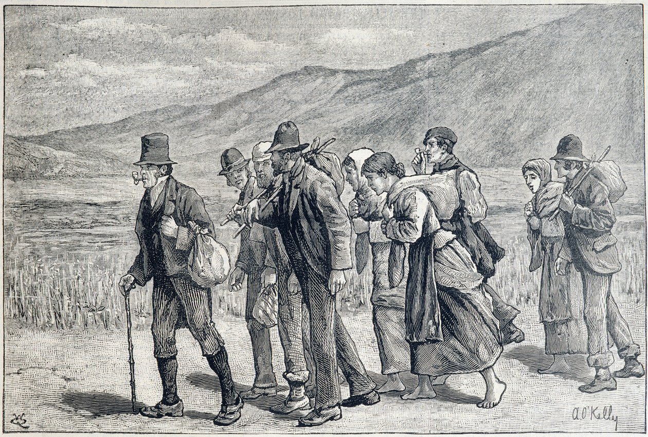 Irland: sesongarbeidere for høsting av Unknown artist