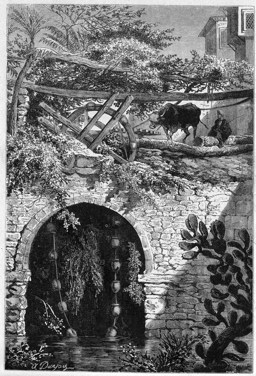 Vanning i Egypt: en okse roterer et hjul rundt som er pakket bøtter. Gravering i "" Le Monde Illustré"" nr. 1313 av 27. mai 1882. av Unknown artist
