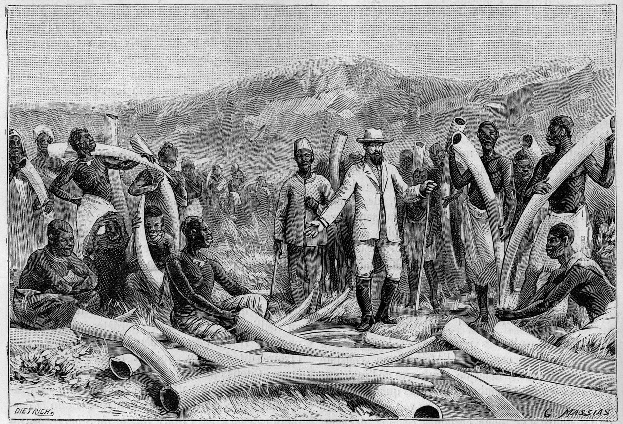 Elfenben i Afrika: Elefantforsvar samlet av Eduard Schnitzer av Unknown artist