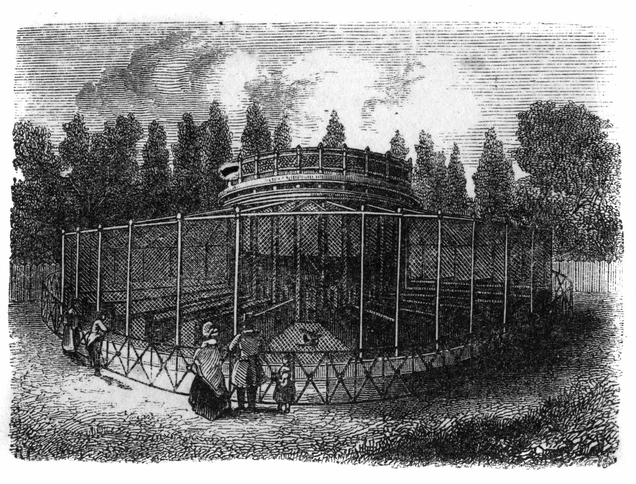 Jardin des Plantes i Paris i 1861: fasanderi. av Unknown artist