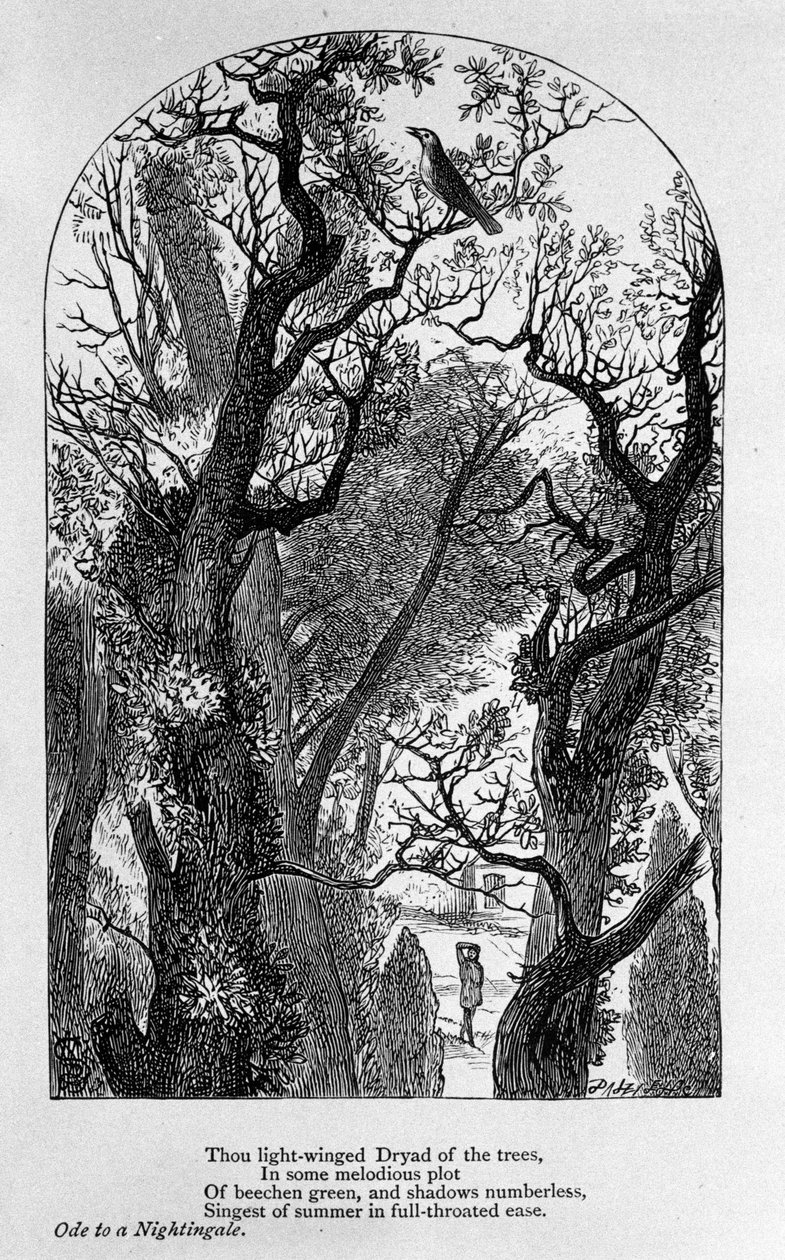 John Keats: Ode til en nattergal av Unknown artist