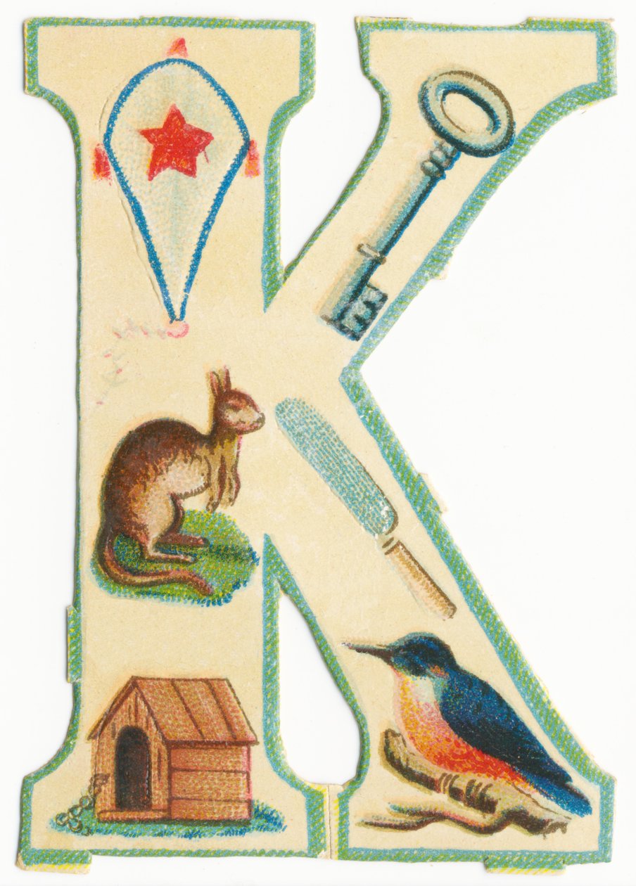 A: Insekter, drager, kenguruer, bartrær, kenneler, isfugler (svart litho) av Unknown artist