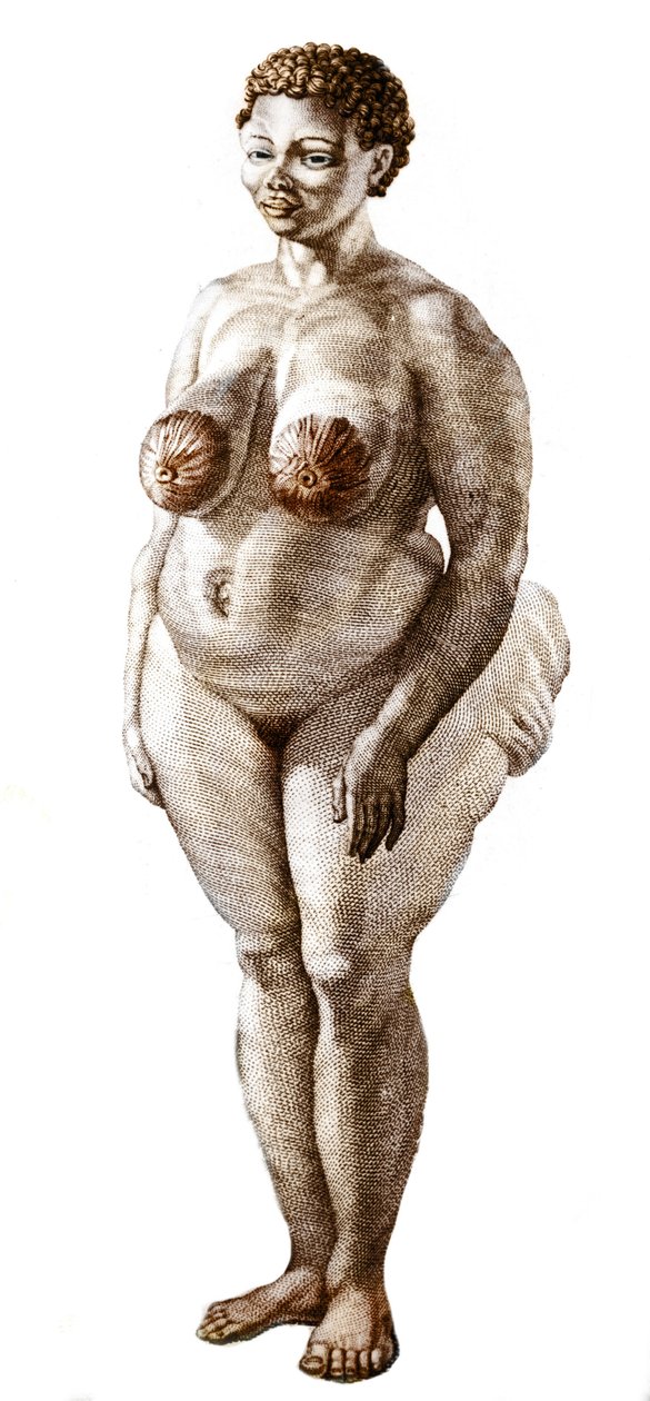 La Venus Hottentote, kvinne av rasen Bochiman (The Hottentot Venus,) gravering fra 1815. av Unknown artist