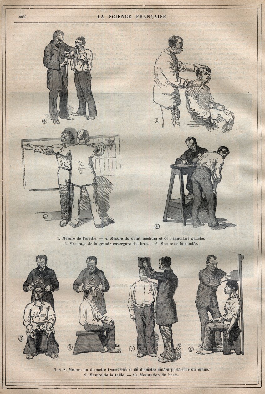 Rettsantropometri eller bertillonnage, metode av Alphonse Bertillon (1853-1914) - Gravering i ""La Science francaise"" av Unknown artist