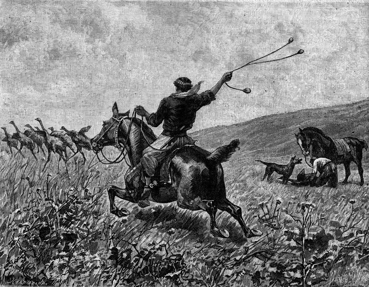 Lasso: hunting casoar with ball lasso. Engraving in “” Le Journal de la jeunesse”” av Unknown artist