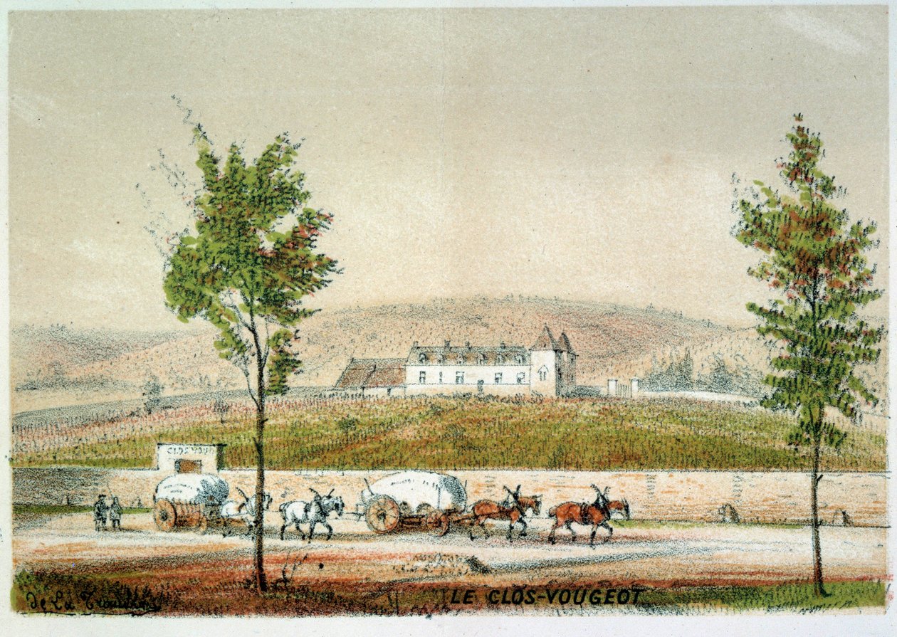 Le clos Vougeot, vingården i Cote d'Or (burgundervin). 1800-talls gravering. Paris. BN av Unknown artist