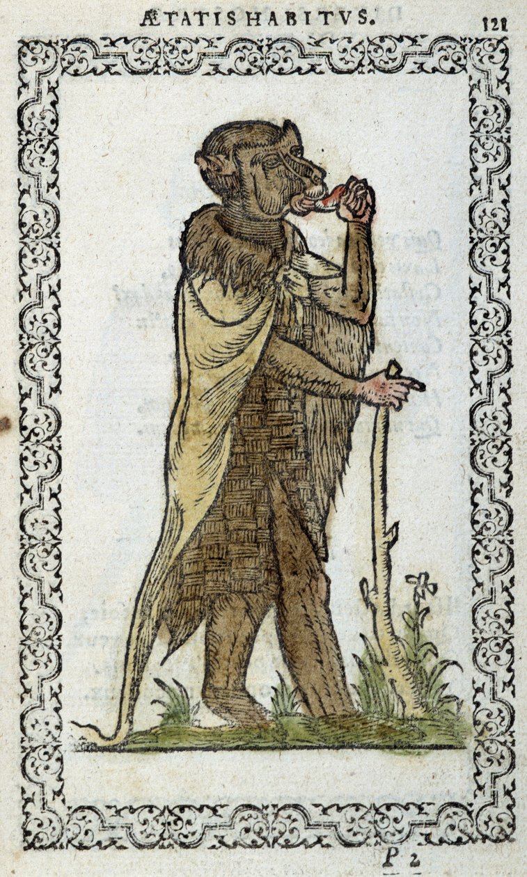 Den stående monge - i "Habits et effigies"" av Jean Sulperius av Unknown artist