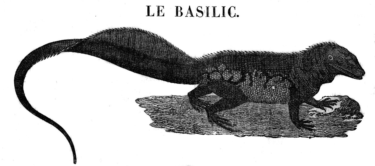 Legendarisk monster: representasjon av reptilen Basil. av Unknown artist