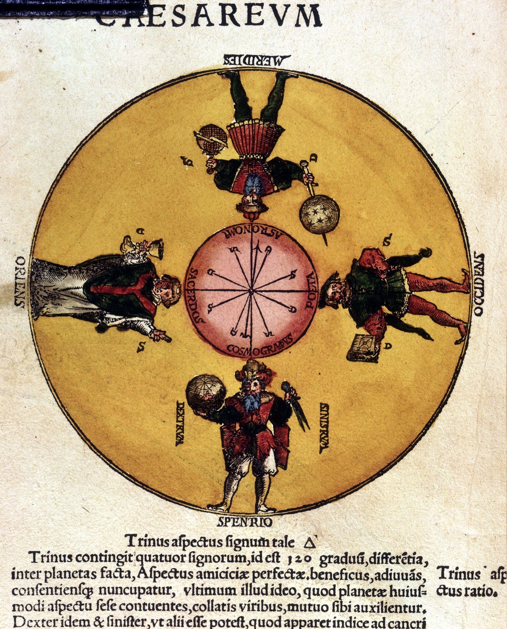 Les antipodes - i "" Astronomicon caesarum", avhandling fra 1500-tallet. av Unknown artist