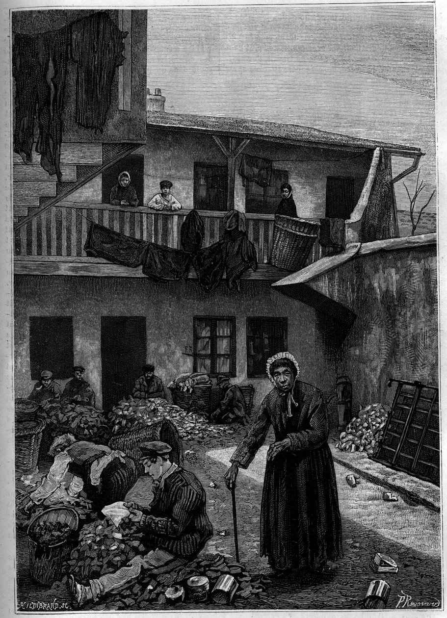 Rappplukkerne: triage fra naturen. Gravering i «The Journal of Youth»» av Unknown artist