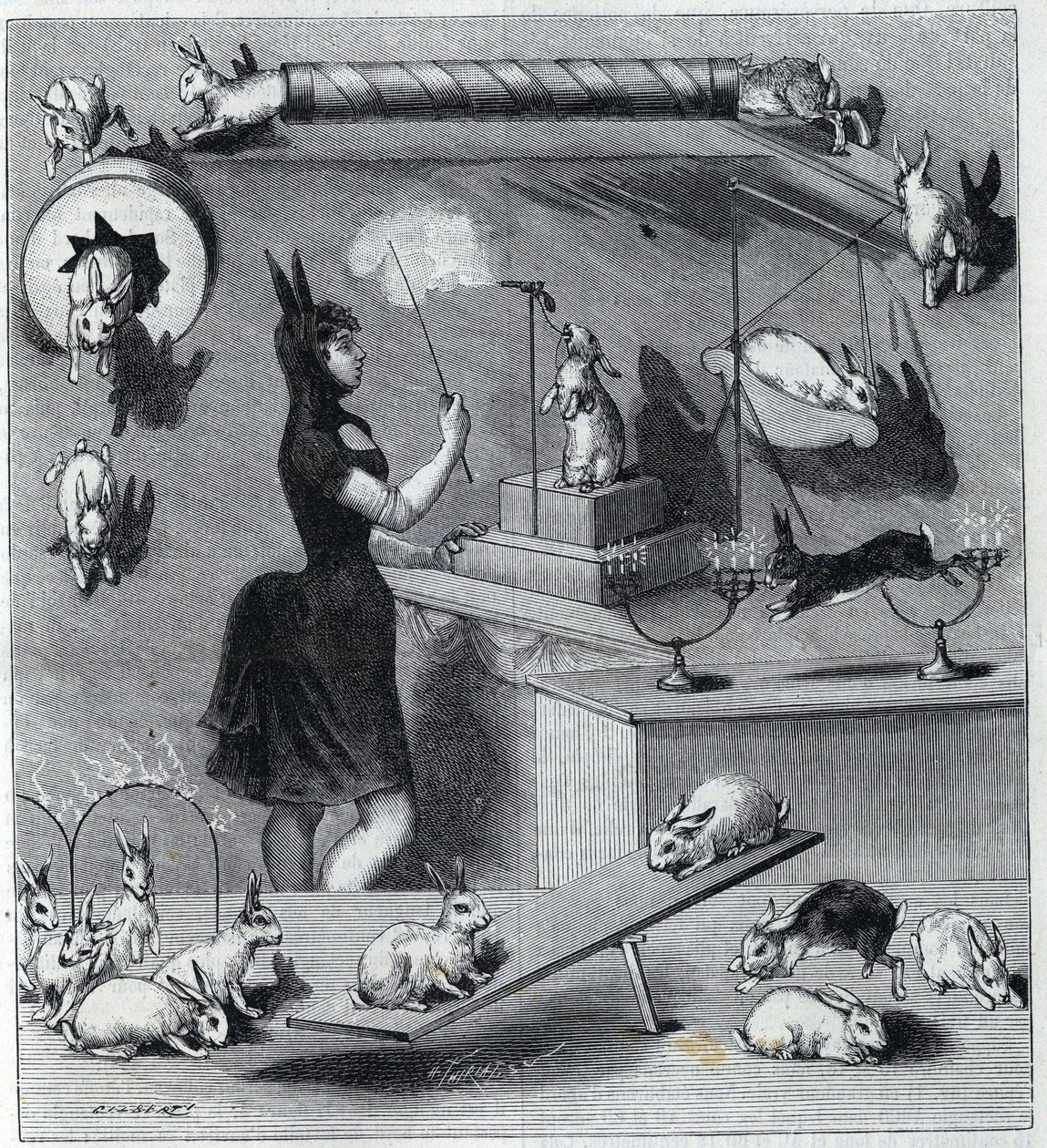 Les rabbits dresses du Nouveau Cirque i Paris: tukle i kaninkostyme som lærer dyret de forskjellige tallene. Gravering i "" La Nature"" 1890. Privat samling. av Unknown artist