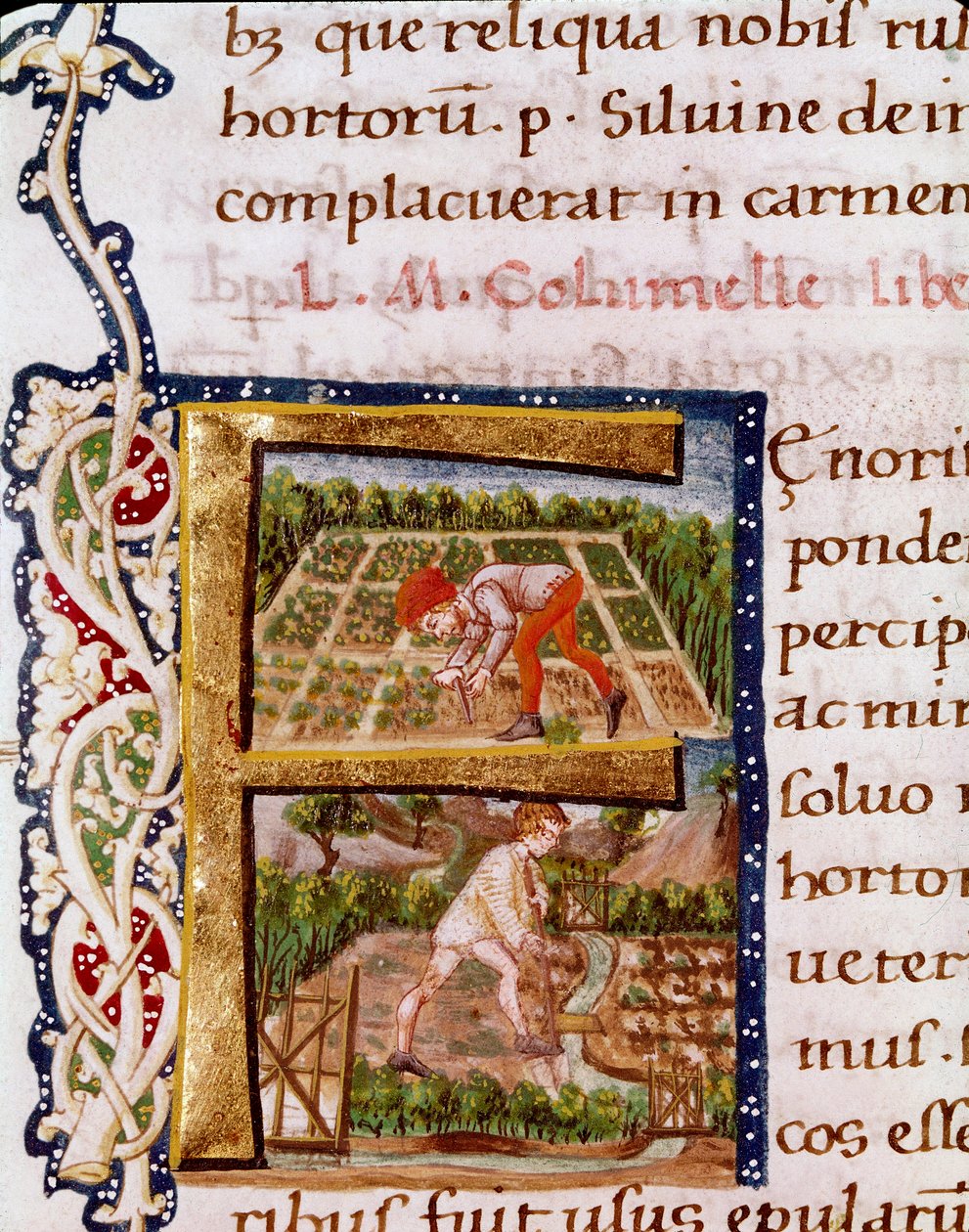 Lettrine F fra kapittelet om hagebruk: scener med stranding og vanning. Miniatyr hentet fra "" De re rustica"" av agronomen Lucius Iunius Moderatus Columella (1. århundre) (Ms.E-39). 1400-tallet. Roma, Biblioteca Vallicelliana av Unknown artist