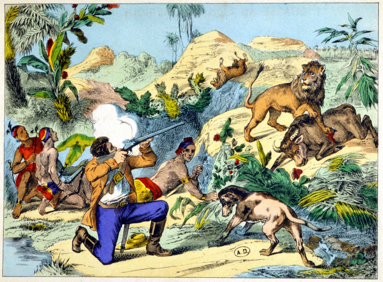 Løvejakt i Sør-Afrika. 1800-talls gravering. av Unknown artist