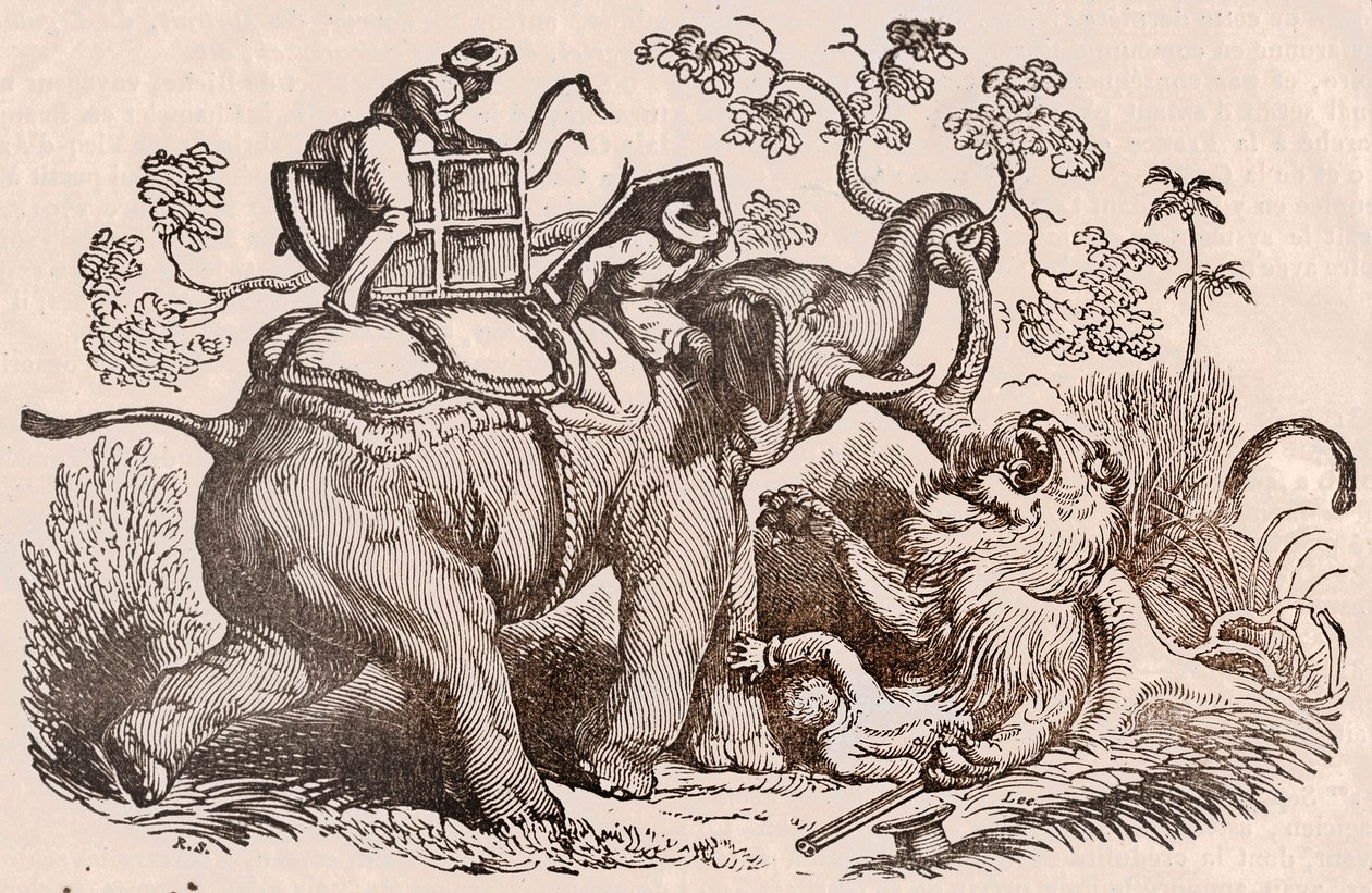 Løvejaktscene: jegeren, elefantens grav, er nå i løvens klør (gravering) av Unknown artist