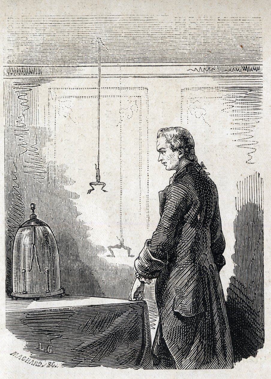 Luigi Galvani causes frog contractions by lightning rod electricite - LUIGI GALVANI (1737-1798) Italian physician and physicist. Causes Contractions in a Frog with Electricity from a Thundercloud av Unknown artist