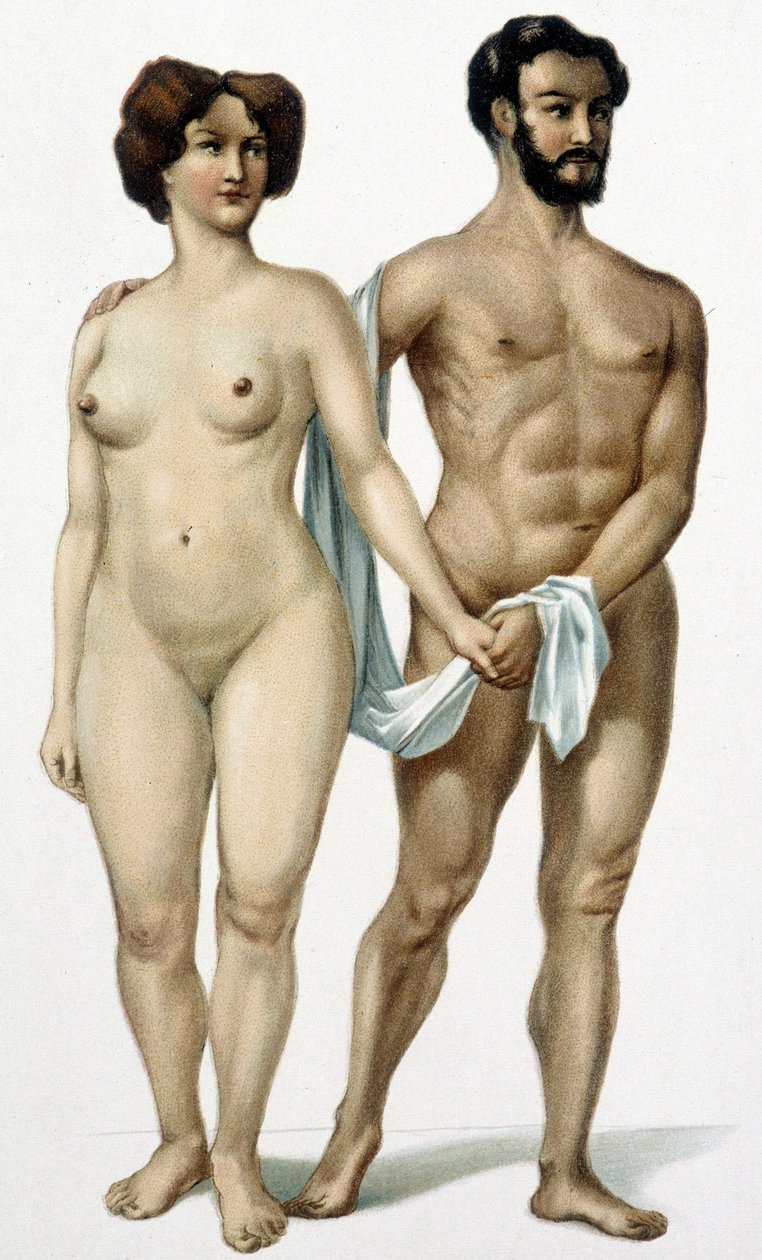 Mann og kvinne - medisinbok, slutten av 1800-tallet av Unknown artist