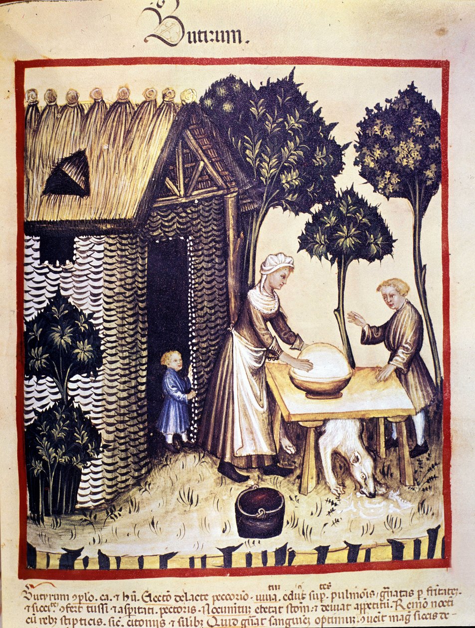 Produksjon av smør. Belysning fra melking av medisin og diett "" Tacuinum sanitatis"" av Unknown artist