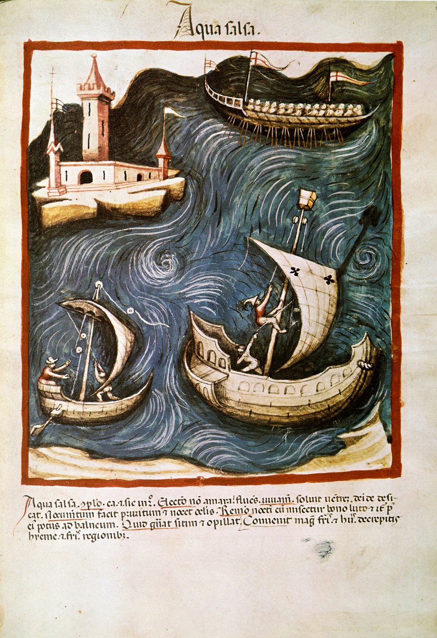 Medisinhandel: ""saltvann"" Side hentet fra ""Tacuinum sanitatis"" (Cod. ser. nov. 2644) Rundt 1400 Wien, Østerriksk nasjonalbibliotek av Unknown artist