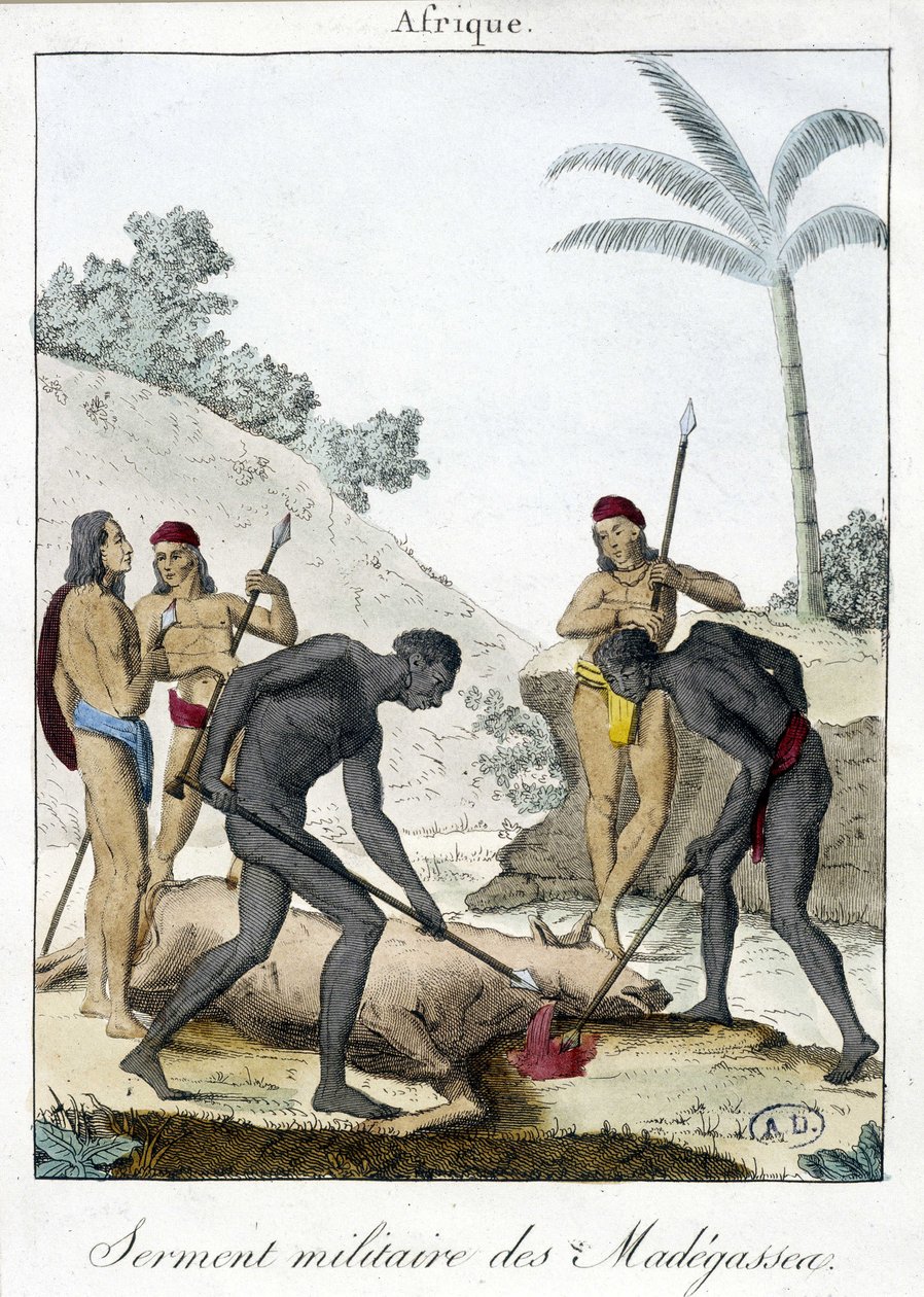 Militær ed av innbyggerne på Madagaskar (slaktet en okse) - grv. 1811 av Unknown artist