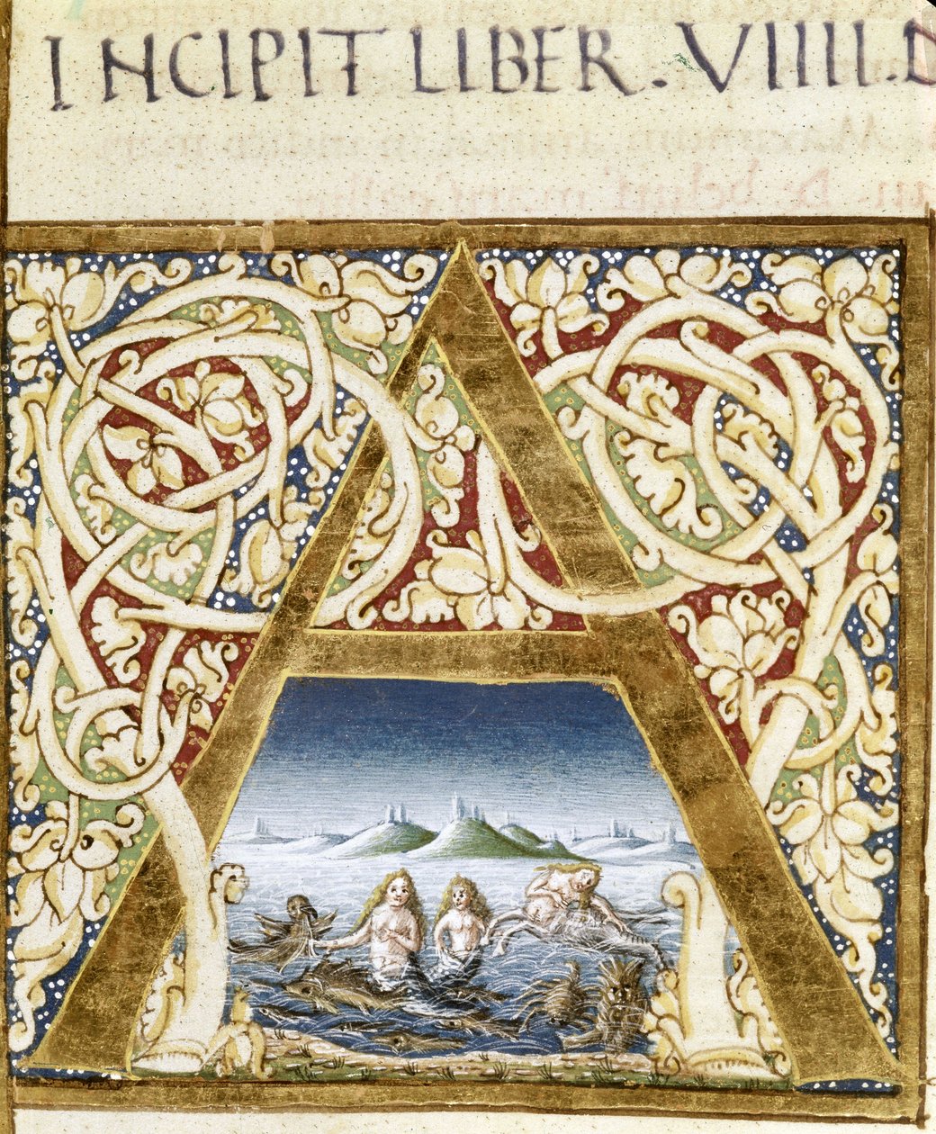 Miniatyr som representerer sirener. Bokstaven "" A"" - i "" Naturalis Historiae"" av Plinius den eldste (23 - 79), red. 1480.Victoria & Albert bibliotek av Unknown artist