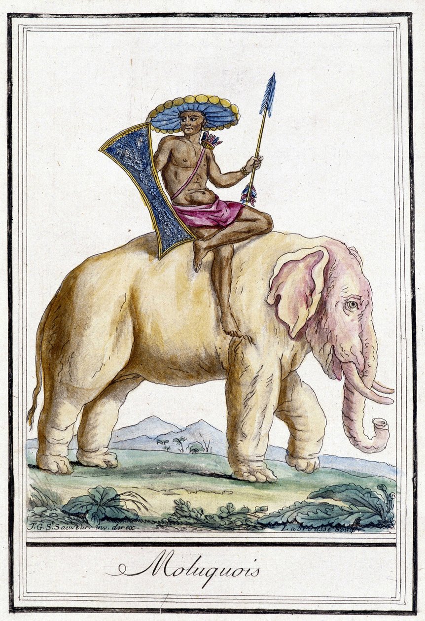 Molucquois mann på en elefant (Molukkene, Indonesia). av Unknown artist