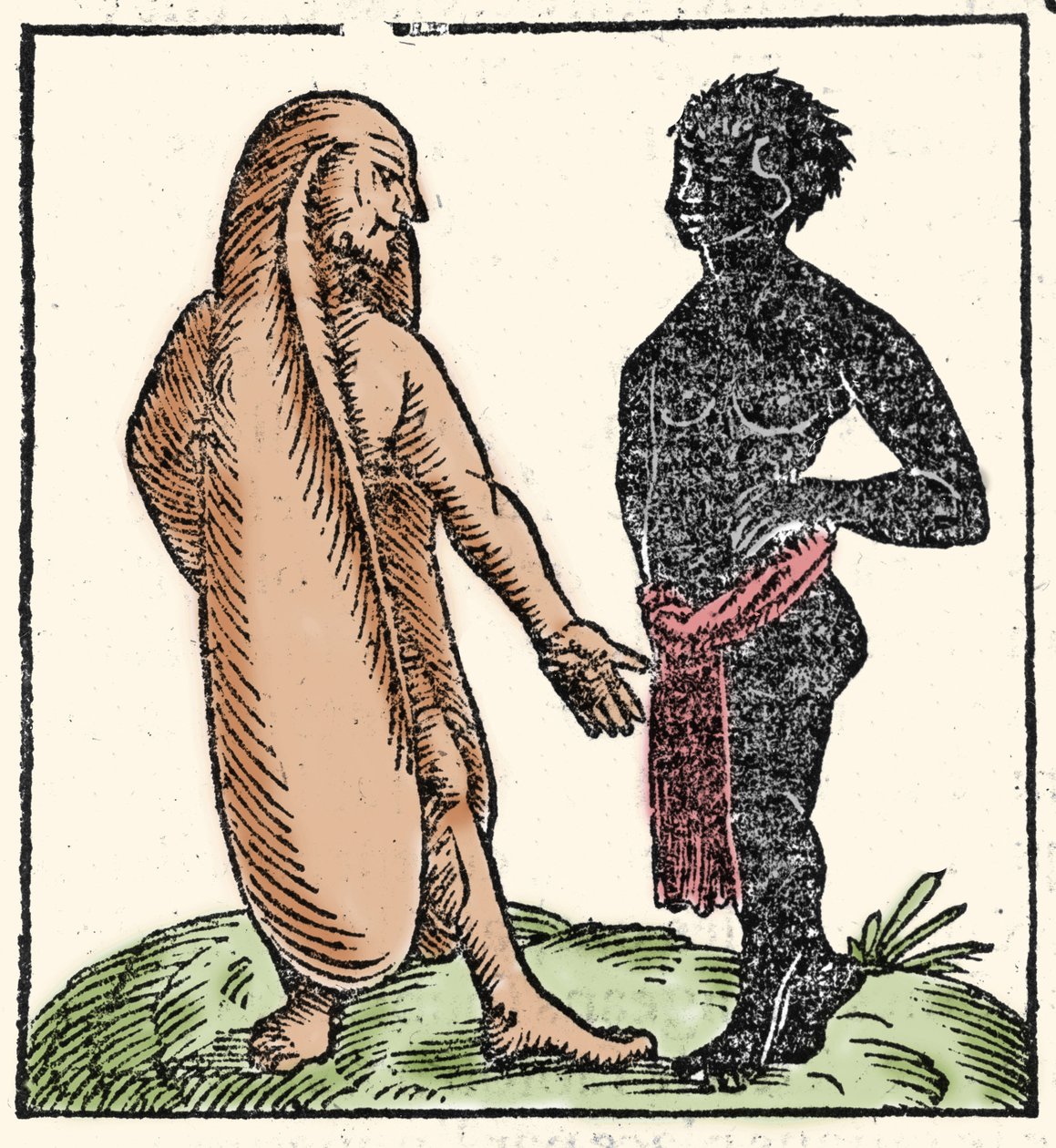 Uhyrlige skapninger: to afrikanske menn, en av dem med lange ører for å beskytte seg mot solen og kulden. Når en situasjon skremmer dem, lar ørene dem fly bort. Symbolsk lar de dem lytte bedre til Guds ord. Xylogr av Unknown artist