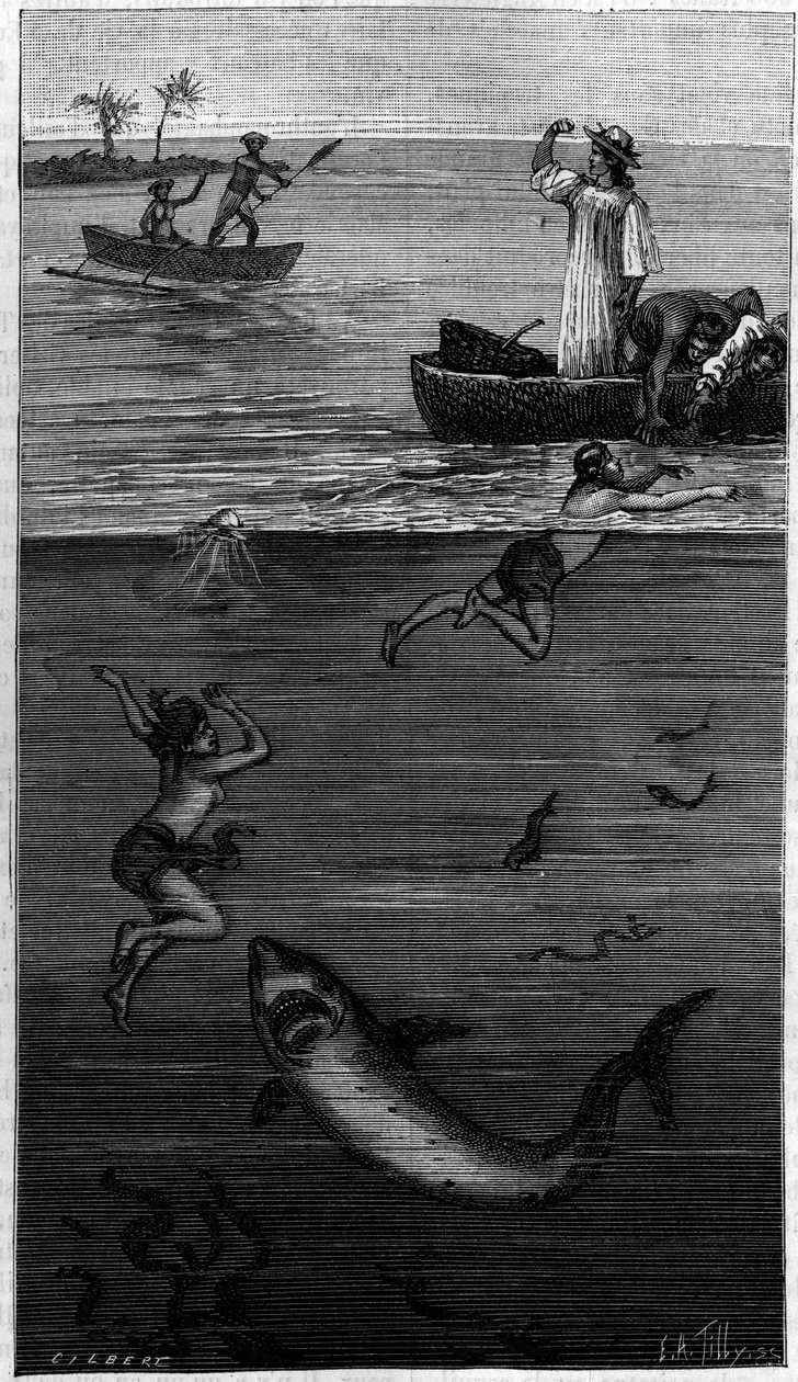Perlemorkultur på Tahiti: en perlemorhøster angrepet av en hai. (Ifølge dokumentene formidlet av forfatteren). Gravering i "" La Nature: revue des sciences et de leurs applications aux arts et a l