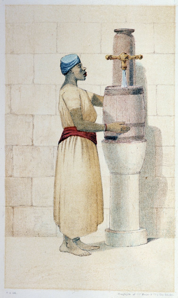 Mulatre d