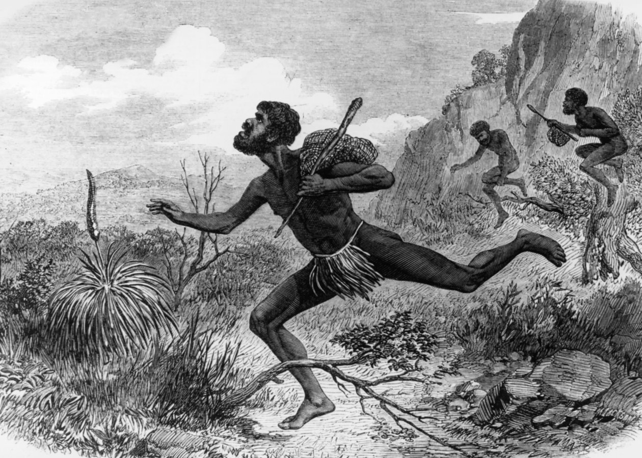 Innfødte (Aborigines) fra Australia under biejakt 1863, gravering av Unknown artist