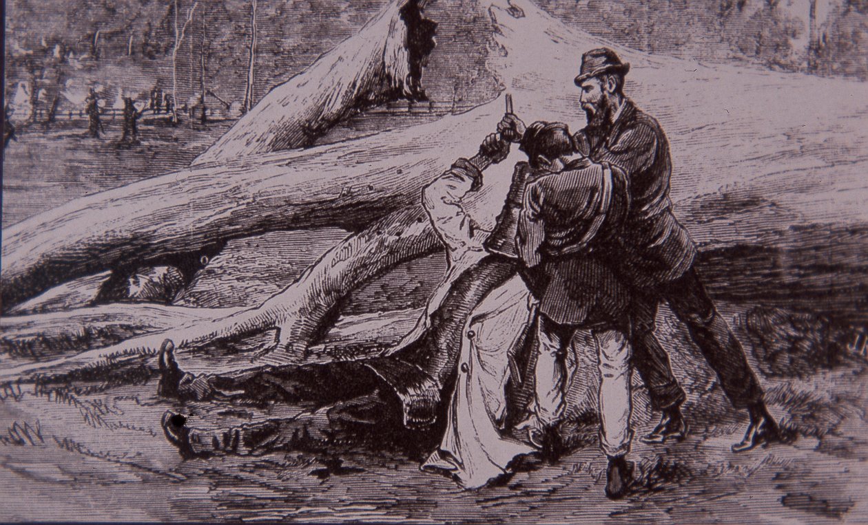 Ned Kelly tatt til fange av politikonstabel Kelly og jernbanemann Jesse Dowsett, 28. juni 1880 (gravering) av Unknown artist
