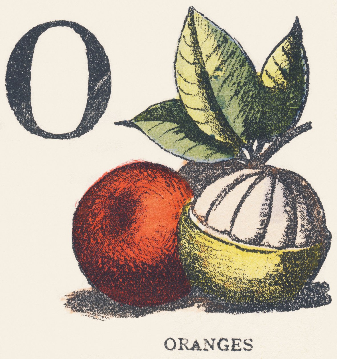 O: appelsiner av Unknown artist