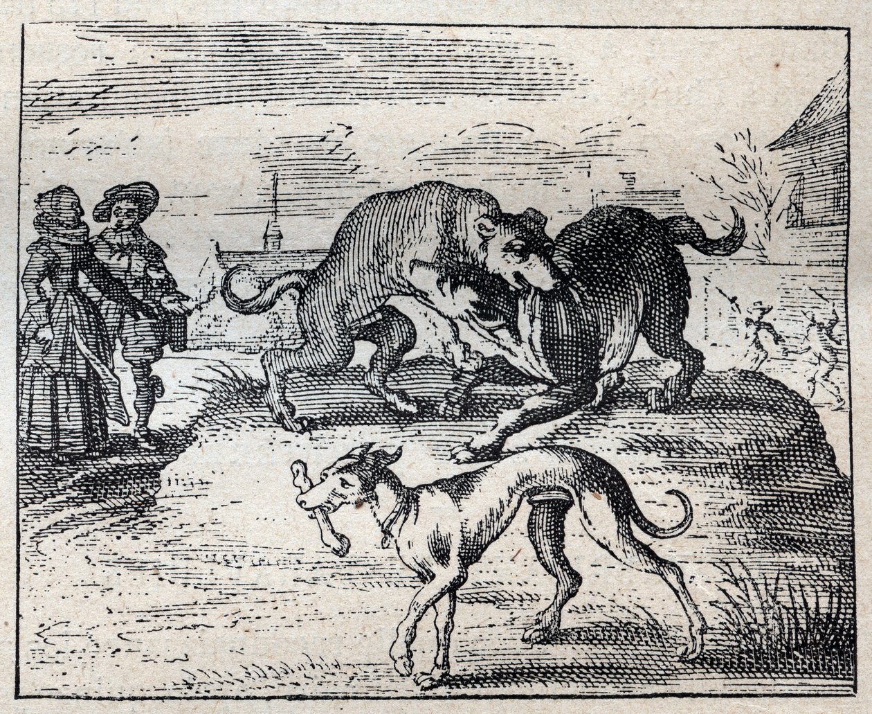 Old English proverb: two dogges strive for a bone and the third takes it away av Unknown artist