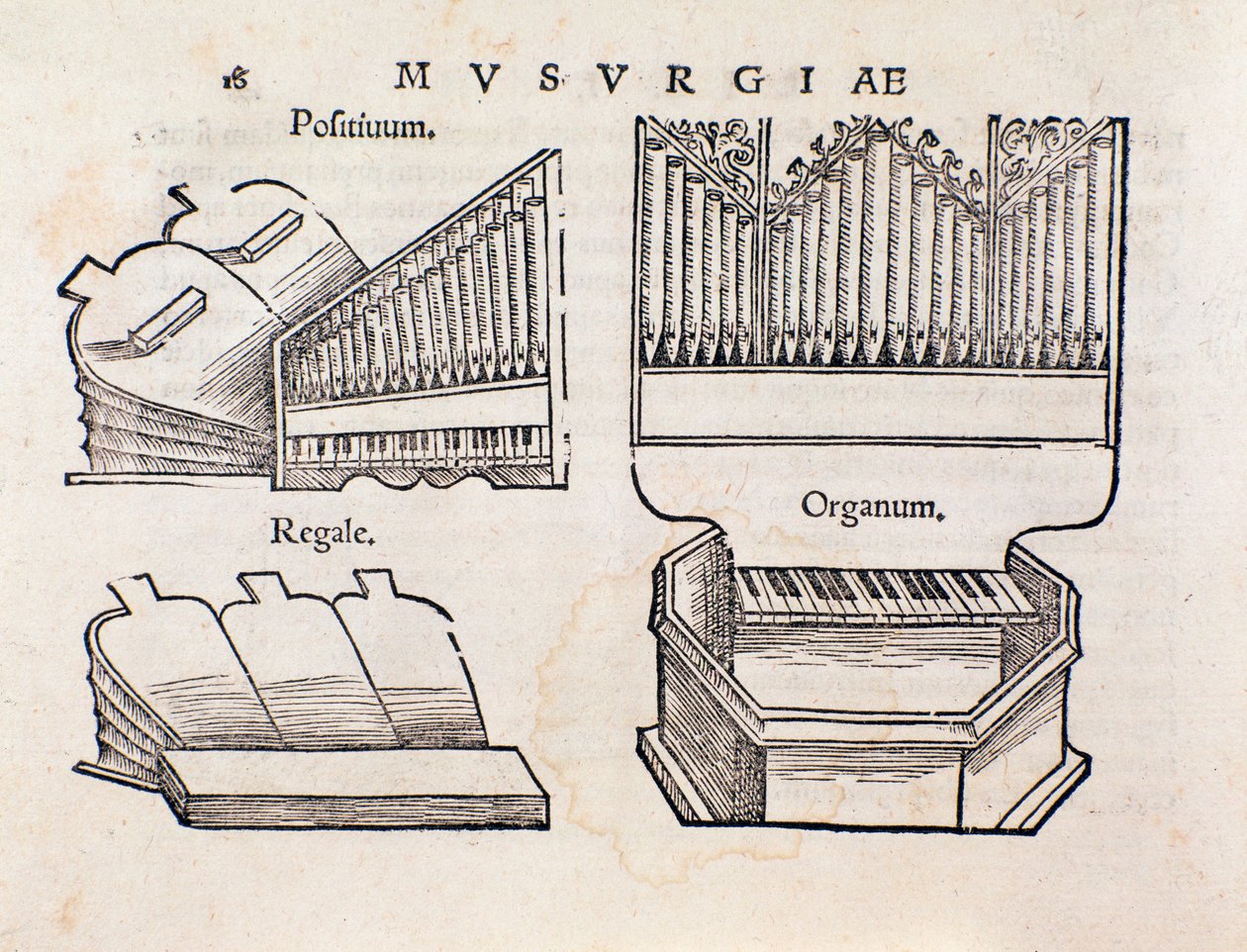 Organrepresentasjon. Side hentet fra Musurgia praktiske musikkhåndbok av Unknown artist