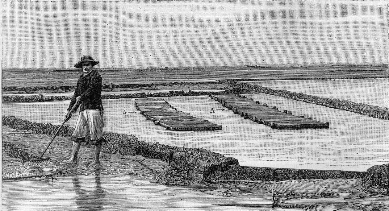 Ostreiculture - the cultivation of oysters in the Arcachon basin (1894): general view of an oyster park. A, A: ambulances or ostreophilic crates. (From a photograph). Engraving in “” La Nature: revue des sciences et de leurs applications aux arts et a l
