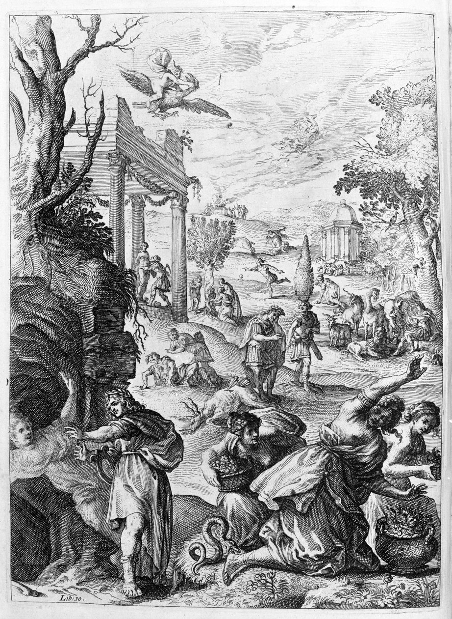 Ovid (Ovidius) - illustrasjon til bok 15 - (P. Ovidii Nasonis Metamorphose libri XV um notis TH. Farnabii.) notat av Thomas Farnaby (Farnabia) (1575-1647) av Unknown artist