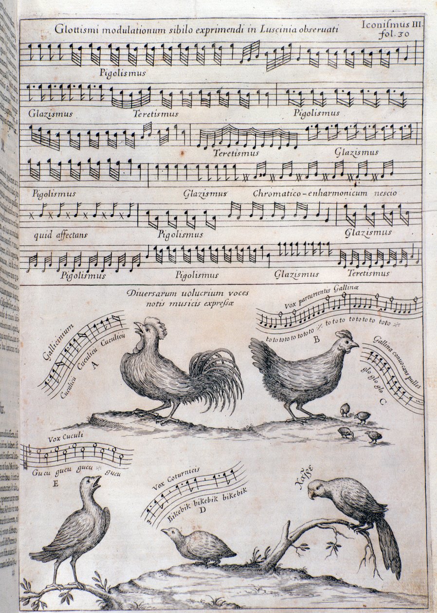 Side fra Musurgia (1650) av Unknown artist
