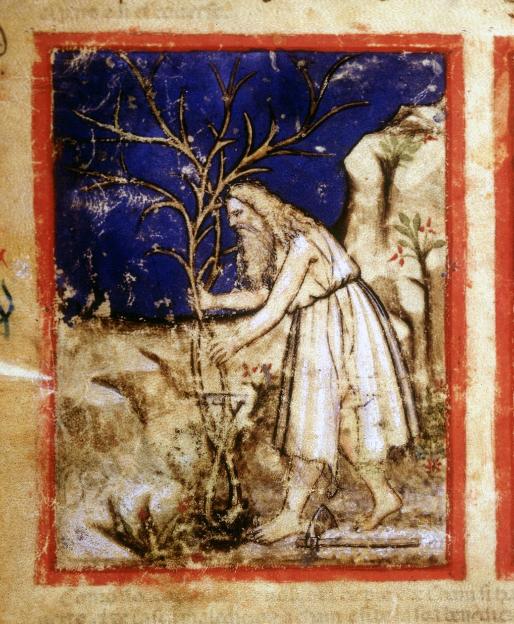 Side av et bibelmanuskript. Noahs planteliv. Miniatyrer fra Codex 212 (eller Padovano Codice eller Bible of Padua) 1390-1400 Rovigo, Accademia dei Concordi av Unknown artist