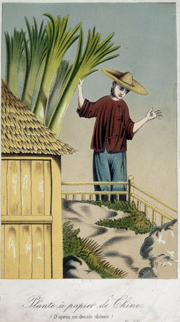 Papirfabrikk, Kina - gravering av Unknown artist