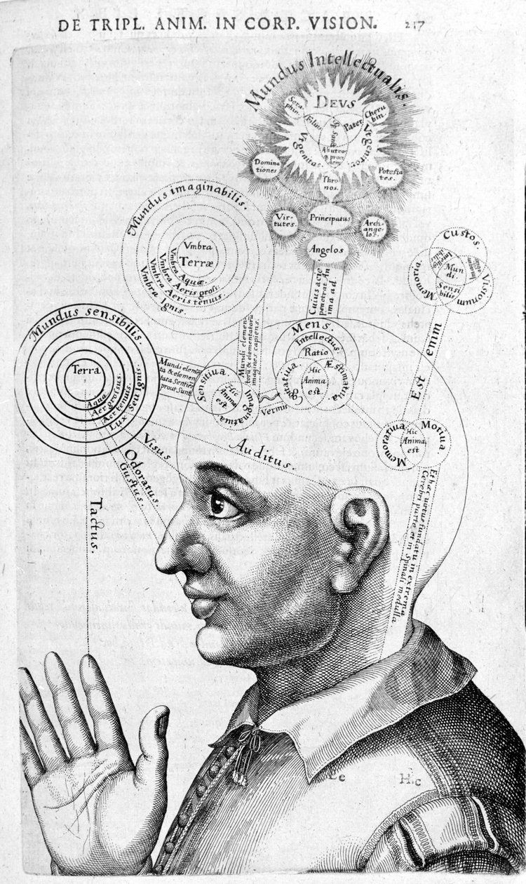 Fysiognomibilde (frenologi) fra The Collected Works of Robert Fludd (Robertus de Fludd). London 1617 av Unknown artist