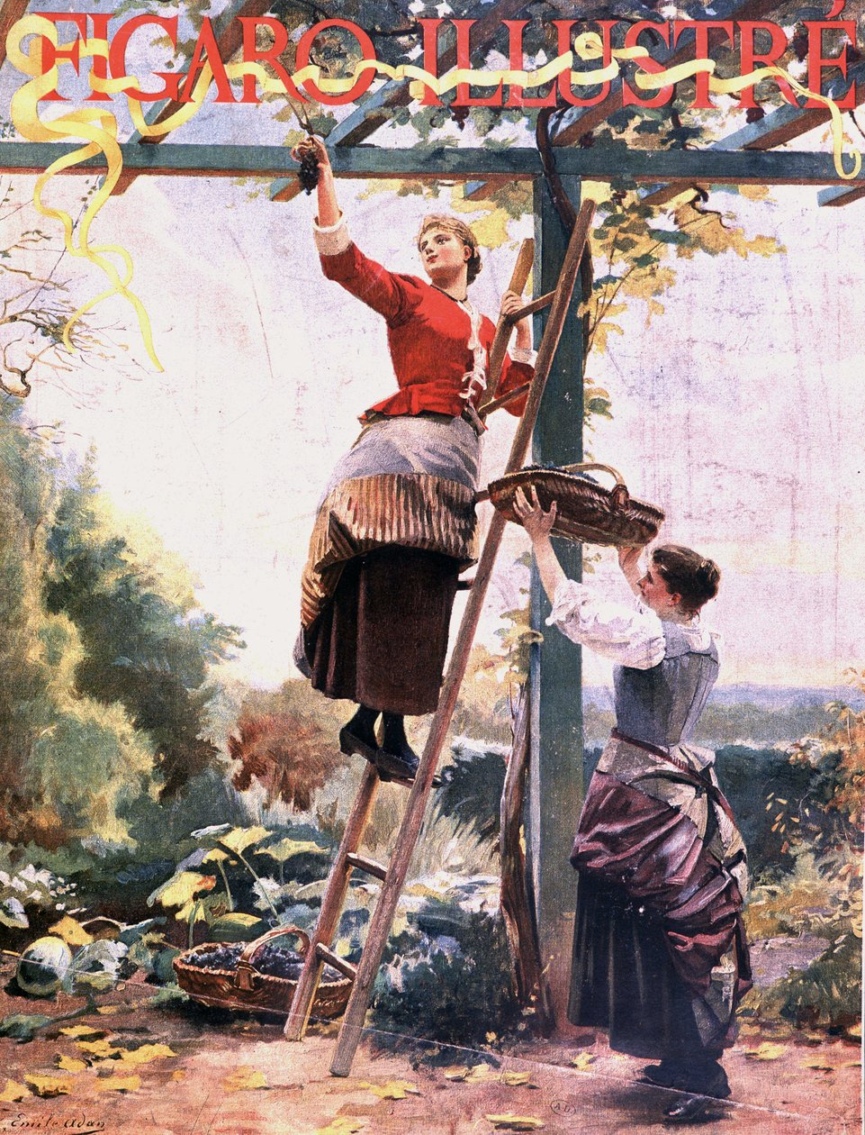 Plukking av druer i suspenderte vinstokker - i "" Figaro illustré", okt. 1891 av Unknown artist