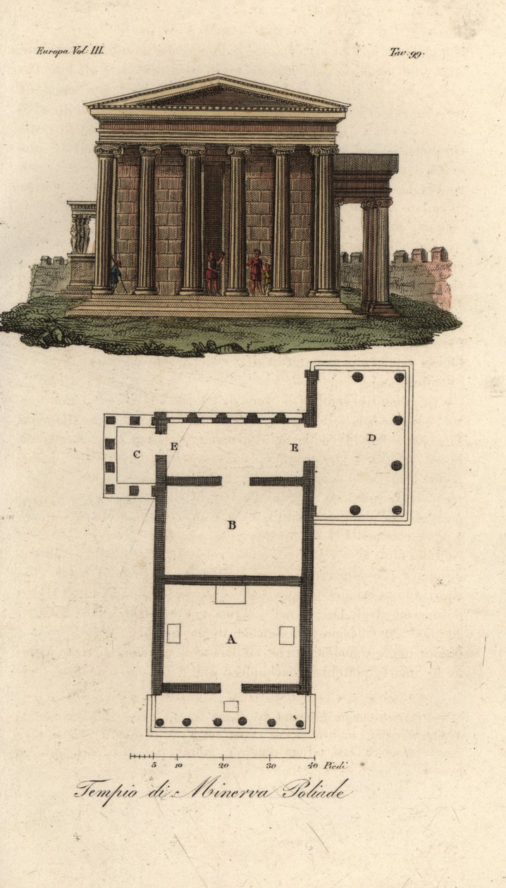 Plan og høyde av Erechtheion eller Erechtheum A, Temple of Neptun B, Temple of Minerva Polias med Porch of the Caryatids C, og Temple of Pandrosus eller Pandrosion D av Unknown artist