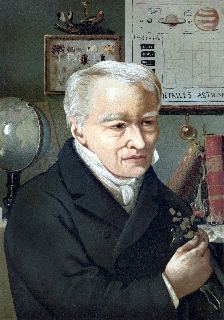 Portrait of Alexander Von Humboldt (Alexander of Humboldt av Unknown artist