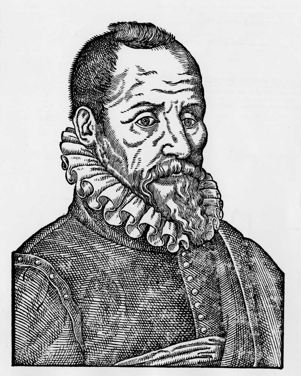 Portrett av Ambroise Paré (1509-1590), fransk kirurg av Unknown artist