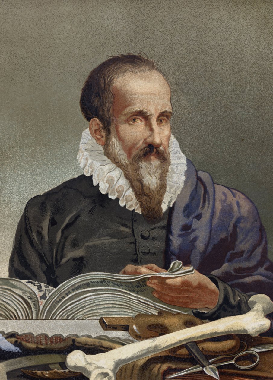 Portrett av Ambroise Paré (1509-1590), fransk kirurg. fra «Science and its Men» av Louis Figuier. Barcelona 1881 av Unknown artist