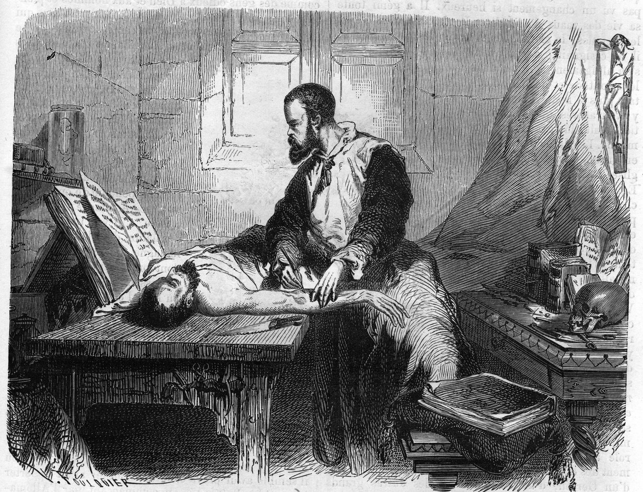 Portrett av André Vésale (1514-1564), nederlandsk anatom (på latin: Andrea Vesalius, nederlandsk: Andries Van Wesel). Gravering fra 1866. av Unknown artist