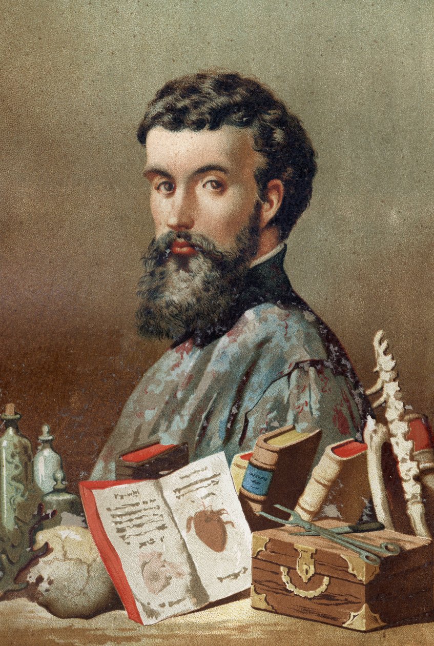 Portrait of André Vésale (1514-1564), Dutch anatomist (In Latin: Andrea Vesalius, in Dutch: Andries Van Wesel) from “La Ciencia y sus Hombres” by Louis Figuier. Barcelona 1881. av Unknown artist
