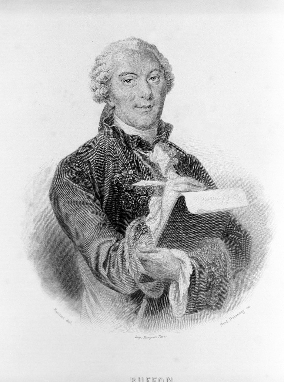 Portrett av Buffon (1707 - 1788), fransk naturforsker og forfatter. av Unknown artist